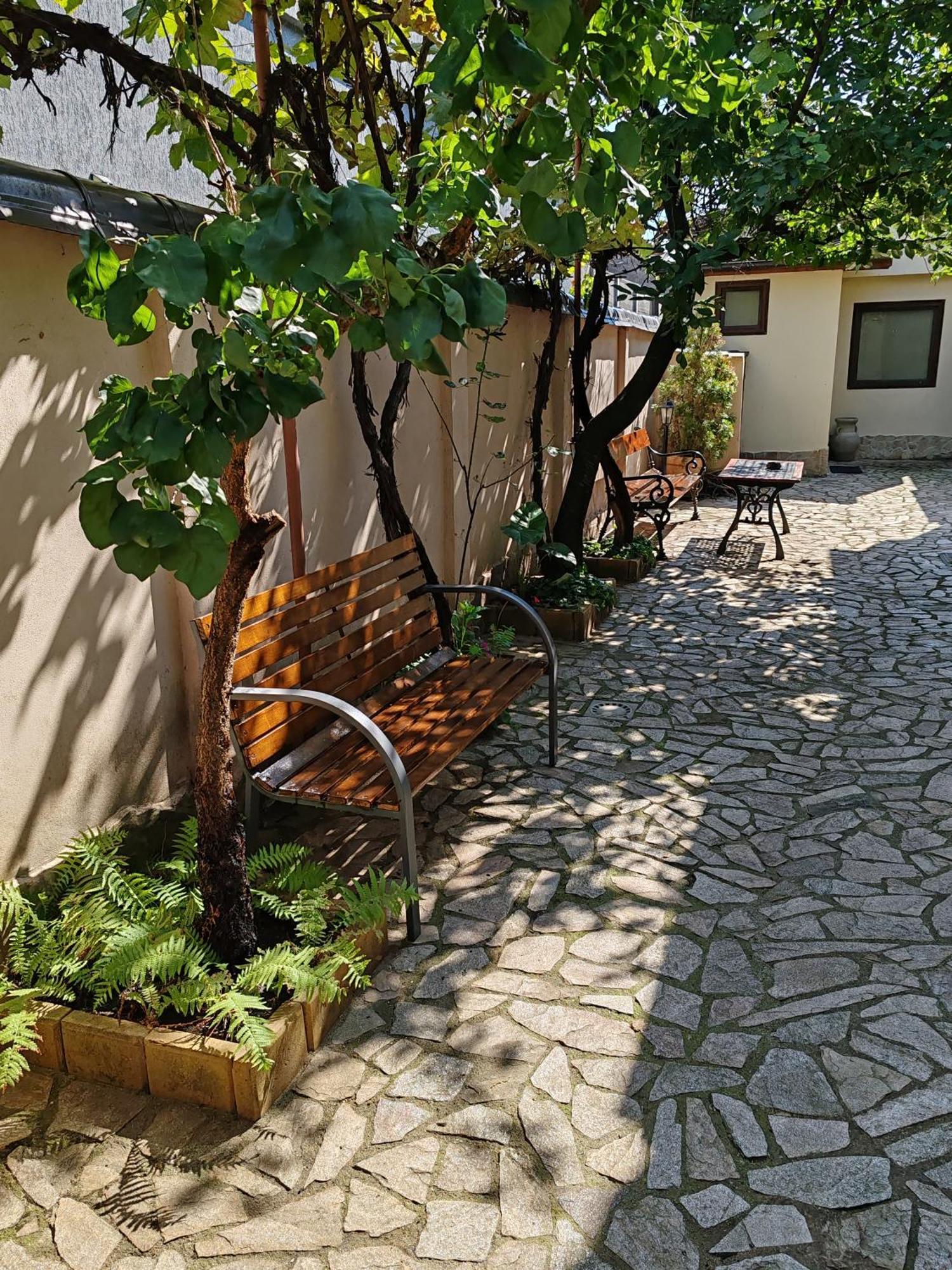Arthouse Lucrezia Hotel Timisoara Exterior photo