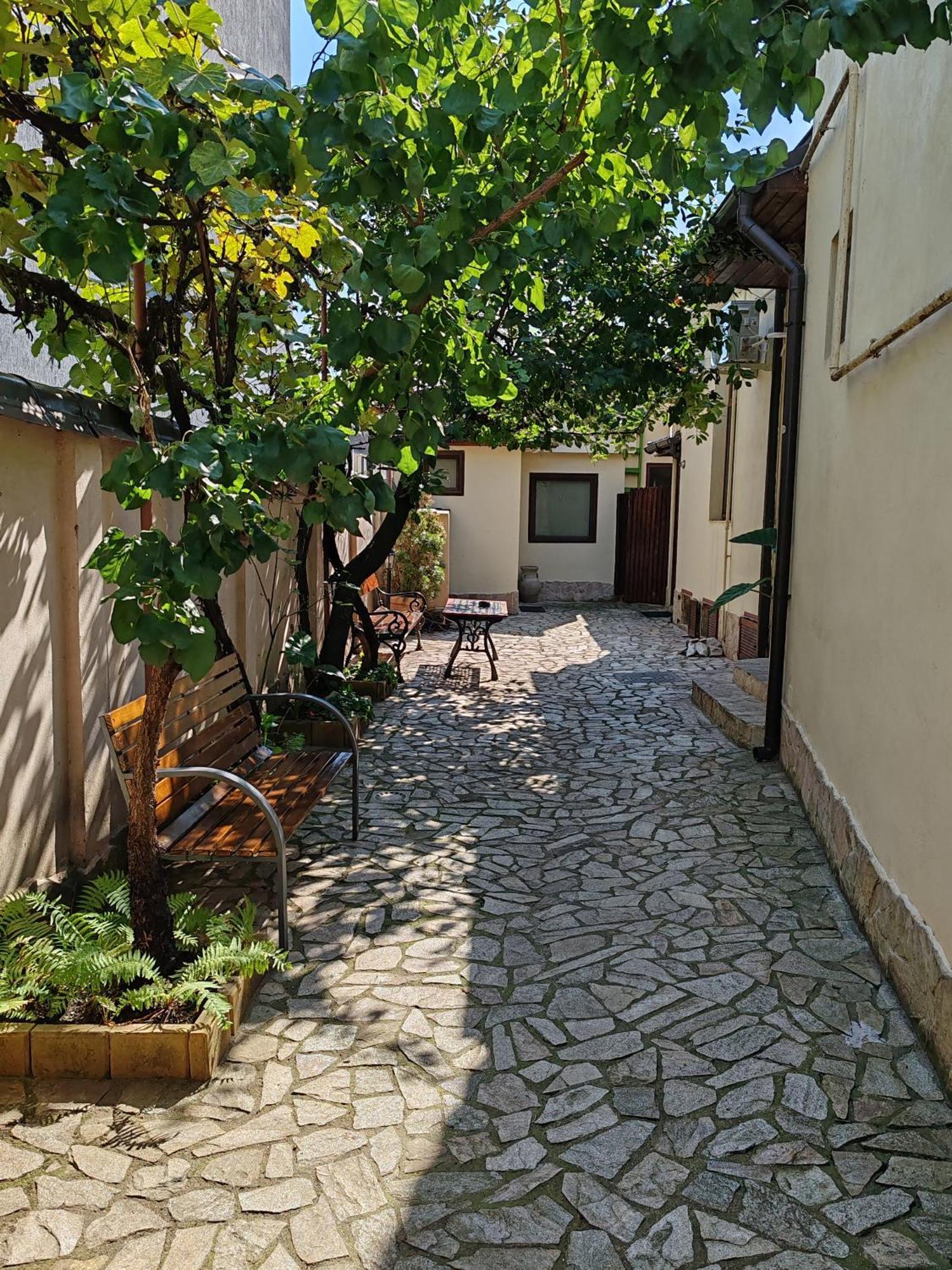 Arthouse Lucrezia Hotel Timisoara Exterior photo